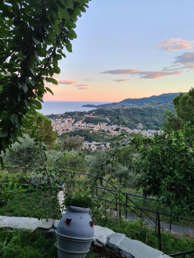 Vista Mare Portofino By Portofinovacanze Gravero Екстериор снимка